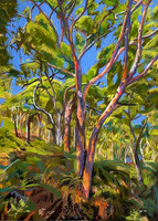 Orange Gum Thicket