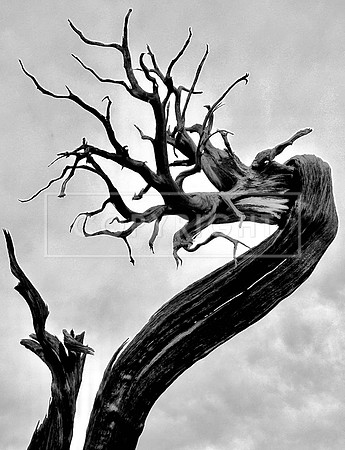 Struck by Lightning