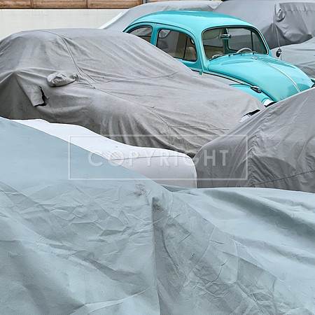 Bug in Hiding