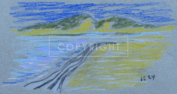 Moreton Tide Lines