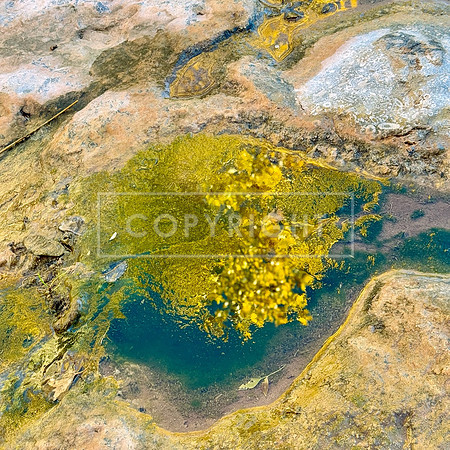 A Pool of Color